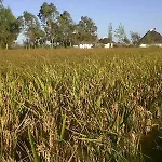 Comodo Vakantiehuis